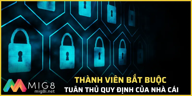 Chính Sách Bảo Mật Mig8 - Quy Định Quan Trọng Cần Nắm Rõ 2 Thành viên bắt buộc tuân thủ quy định của nhà cái